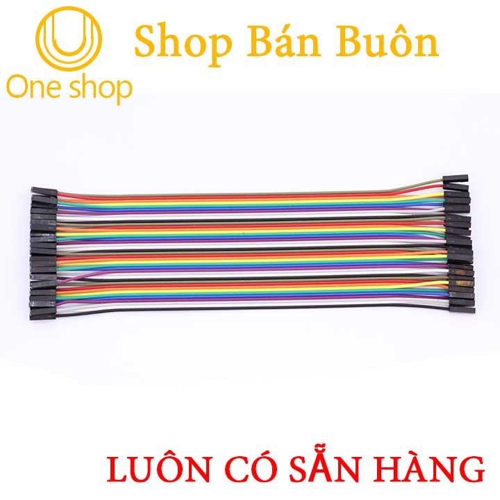 Tệp 10 Dây Dây Nối 7 Màu Dài 21Cm ( 2 Đầu Cái Cái )