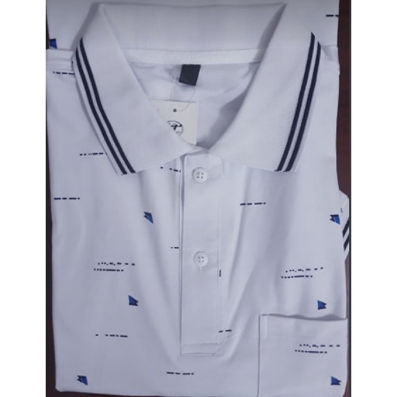 (ảnh thật) Áo thun Cotton cho nam kiểu đẹp - lịch sự
