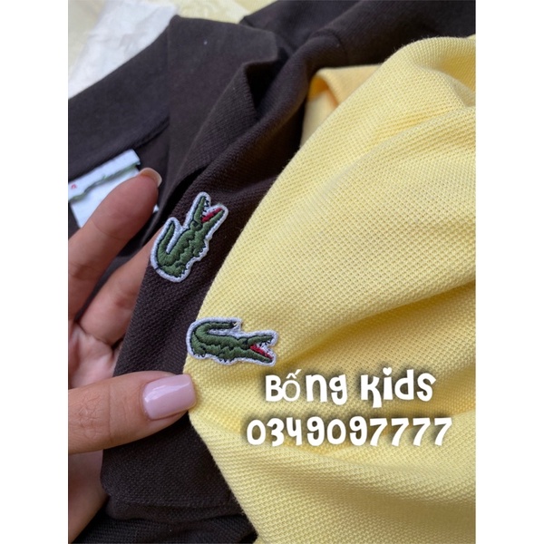 Áo Polo Nam Cá Sấu LCT(cắt tên hãng và code)