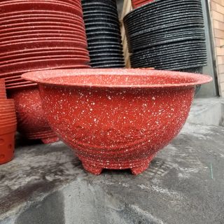 Sét 5 chậu trồng cây t38 đỏ giả đá