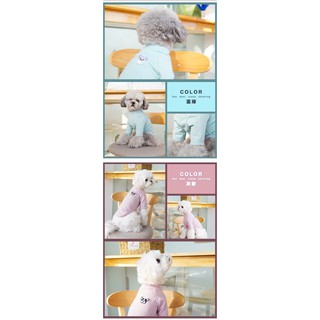 Áo 2 tay body cho thú cưng