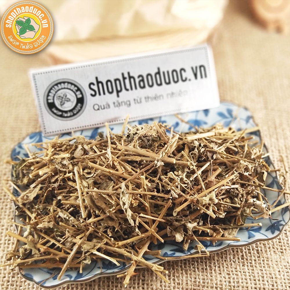 Cà gai leo gói 500g - Hỗ trợ tốt cho gan