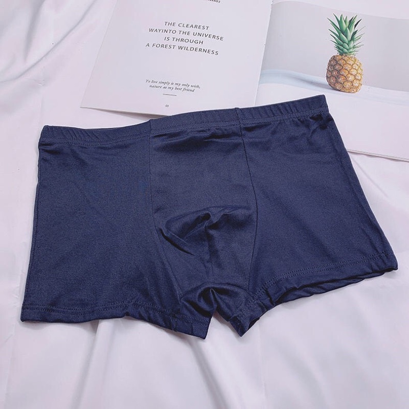 Hộp 4 Quần sịp đúc lạnh  Boxer, Sip Đùi Thun Lạnh Cao Cấp Kháng Khuẩn Ngăn Mùi Dành Cho Nam