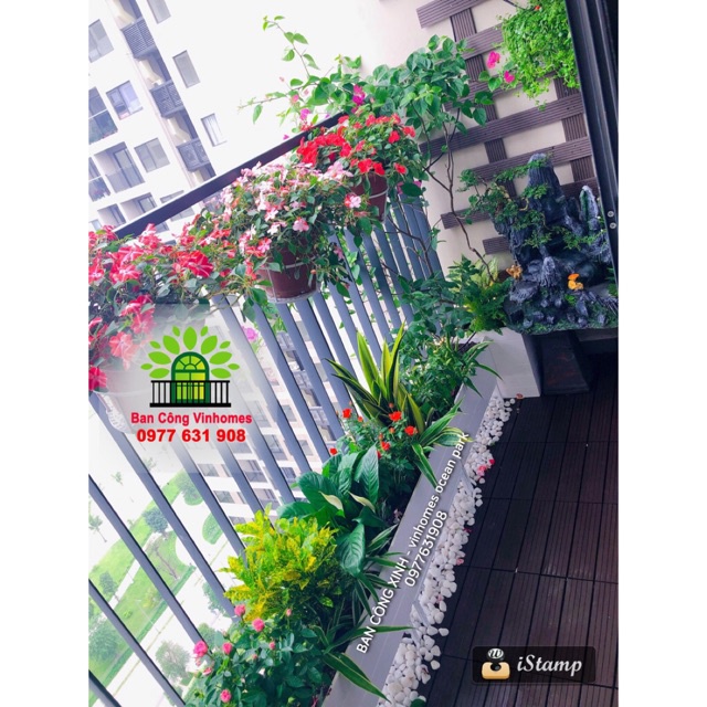 Chậu composite chuyên dùng trồng cây ngoài trời