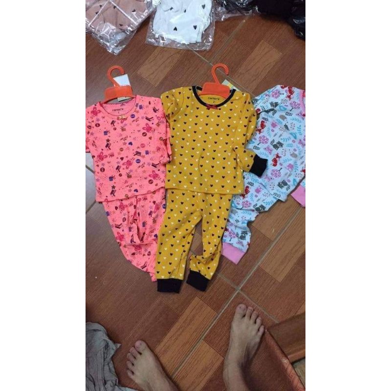bộ carter dài tay bé gái hàng xuất dư