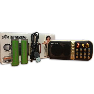 Loa thẻ nhớ radio Craven 863