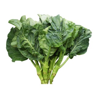 HẠT GIỐNG CẢI RỔ ( CẢI NÁ )