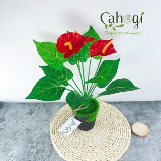 Cây giả- Cây Hồng Môn Yến Size 33cm