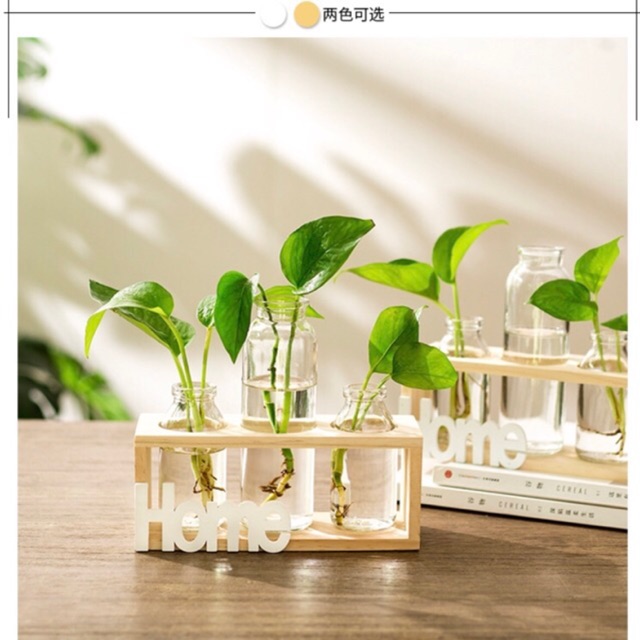 Kệ chữ home kèm bình thủy sinh siêu đẹp