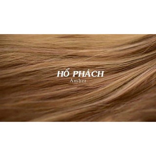 Thuốc Nhuộm Tóc Màu NÂU HỔ PHÁCH