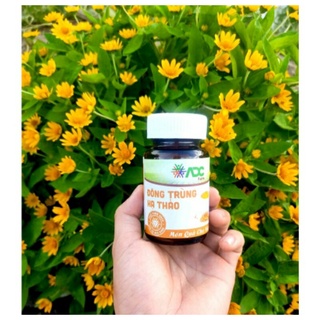 ĐÔNG TRÙNG HẠ THẢO ĐÓNG HỘP ADC