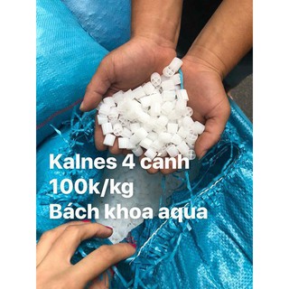 Hạt lọc Kaldnes