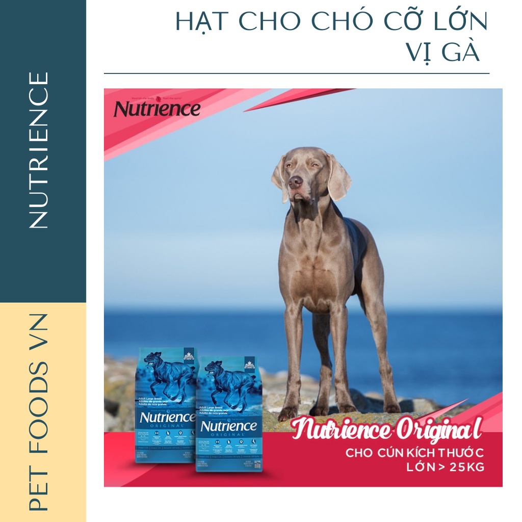 Hạt cho chó cỡ lớn NUTRIENCE Original Large Breed 11kg vị Gà