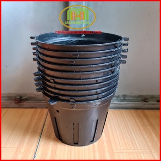 Combo 10 chậu nhựa đen trồng lan phi 12