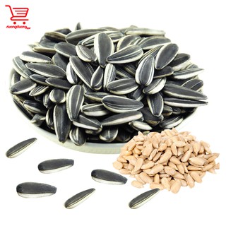 Hạt Hướng Dương Loại Ngon Chắc Hạt (500g)