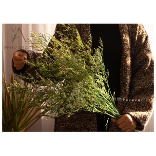 [HOA KHÔ] DRIED STATICE🌸Decor Nhà, Phụ Kiện Chụp Ảnh