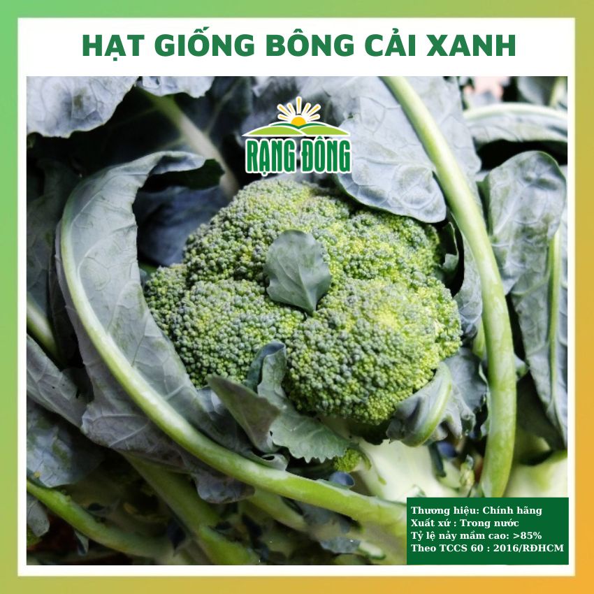 Hạt giống súp lơ xanh (bông cải xanh) rau củ quả chịu nhiệt 4 mùa chăm sóc tỉ lệ nảy mầm cao 0.2gr RADO 0687