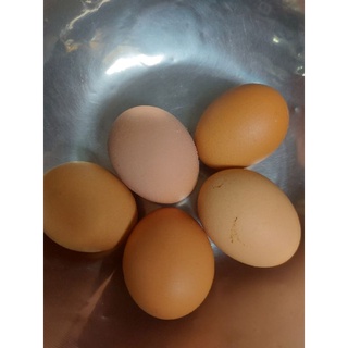 Trứng Gà ( Công Nghiệp ) 10 Quả To Hàng Chọn