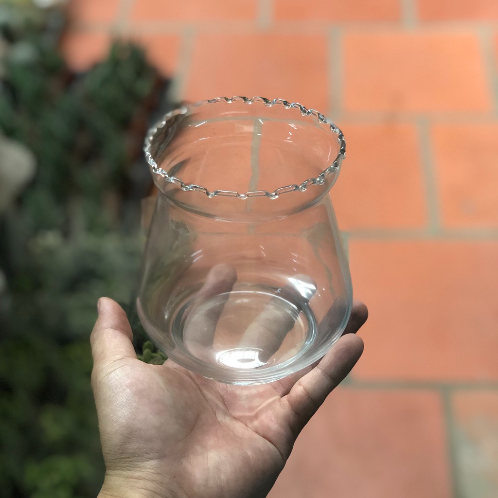 Chậu Thủy Tinh trồng Cây Thuỷ Sinh