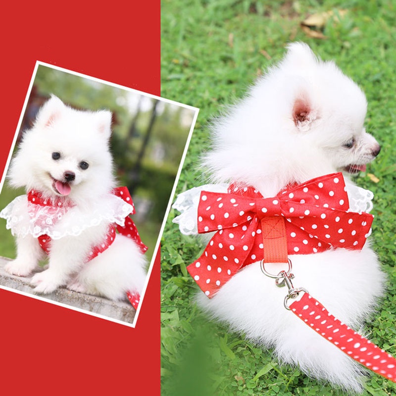 Bộ Trang Phục Họa Tiết Chấm Bi Đính Nơ Cỡ Nhỏ / Vừa Kèm Dây Dắt Thú Cưng