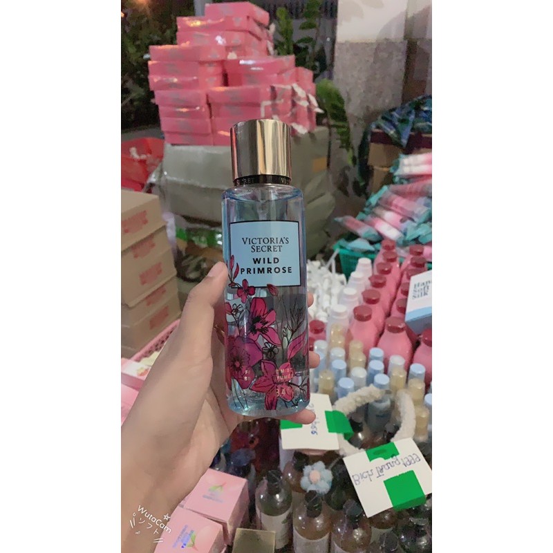 XỊT THƠM BODY VICTORYA SECRET | BigBuy360 - bigbuy360.vn