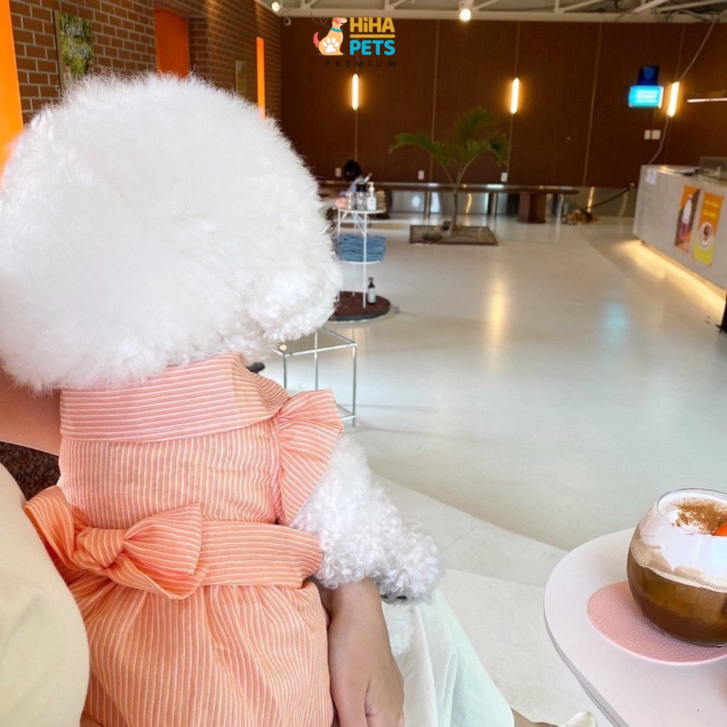 Váy Cho Cún Mèo Dễ Thương Mát Mẻ Mùa Hè Mùa Xuân Quần Áo Thú Cưng Cao Cấp Hàn Quốc Hiha Pets Tông Trắng.