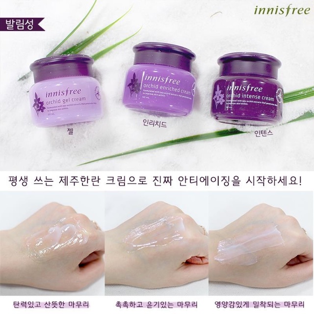 (SALE ĐÃ CÓ SẴN) Kem Dưỡng Chống Lão Hoá Innisfree Jeju Orchid Enriched Cream | BigBuy360 - bigbuy360.vn