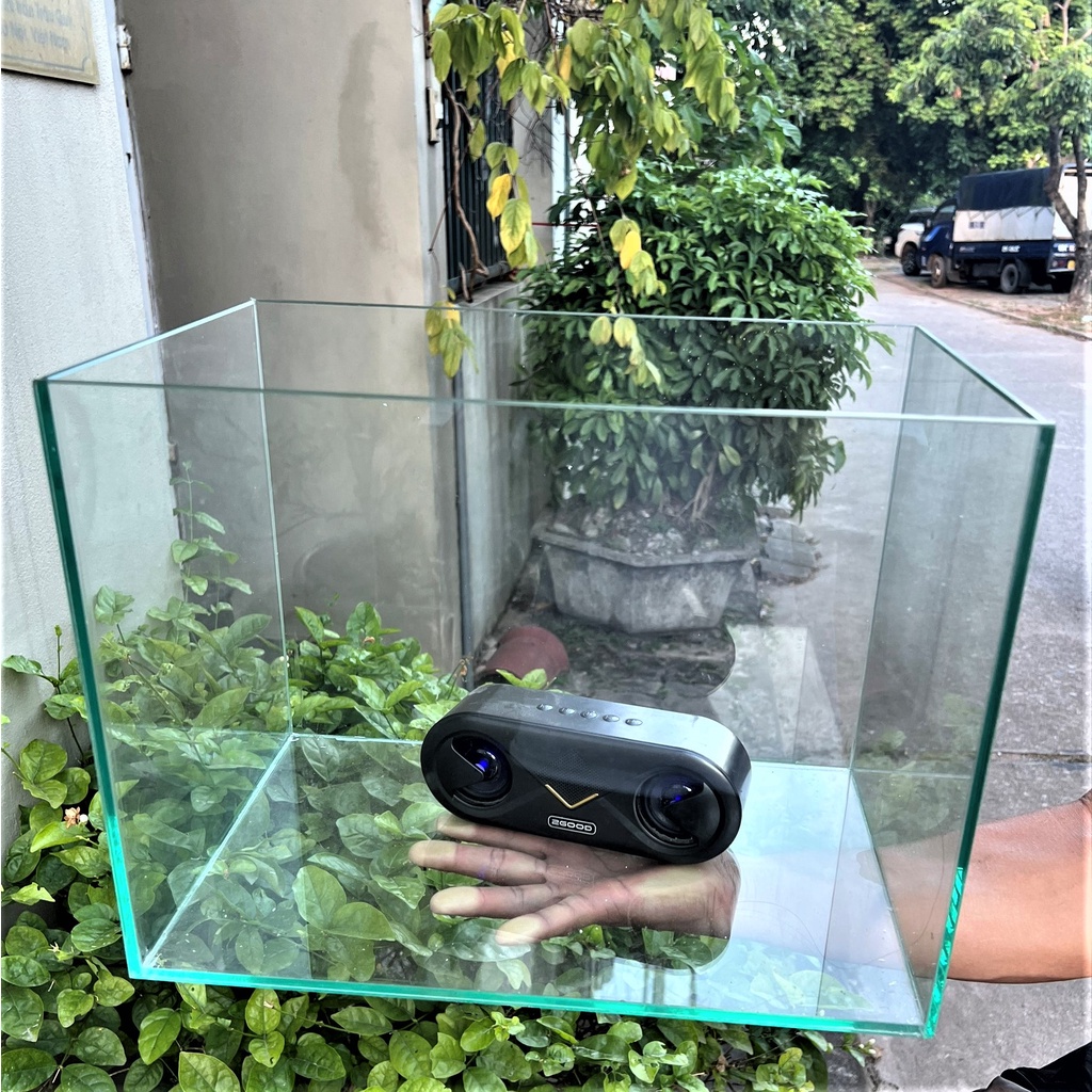 HỒ CÁ D40xR20xC30 hồ cá thủy sinh , bể cá cảnh để bàn mini be ca canh dep maT