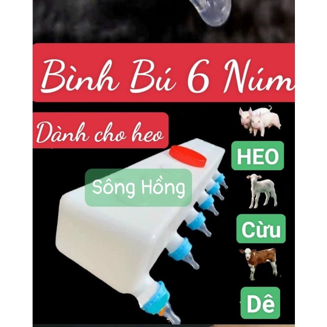 Bình Bú Sữa heo con 6 núm dài 0,8m