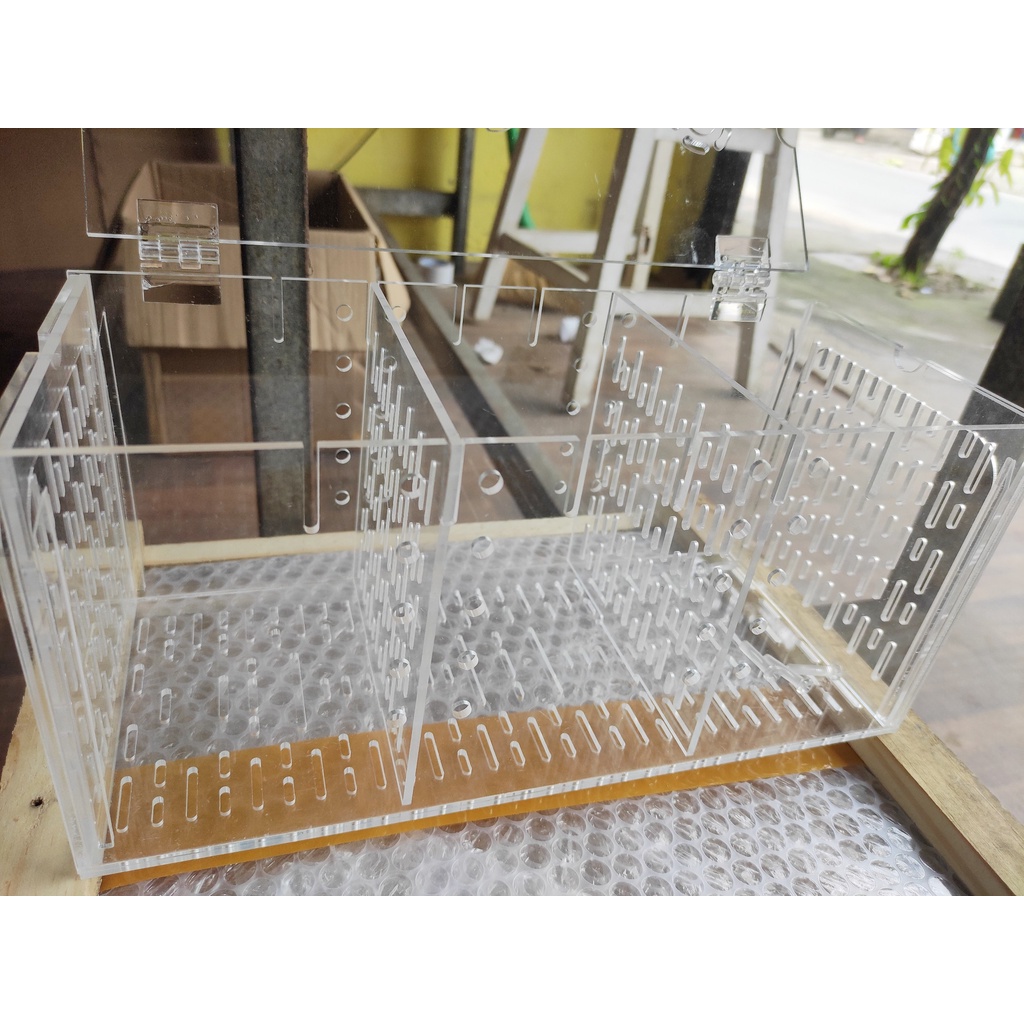 Box Acrylic Dưỡng Cá Có Chia Vách Ngăn Lồng Đẻ Cho Cá Cảnh Guppy 30*15*13cm BB30