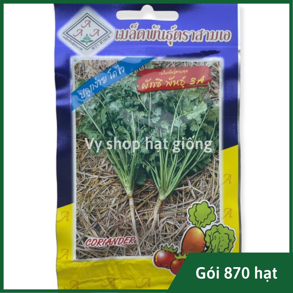 Hạt giống rau mùi ta  Thái Lan gói 870 hạt
