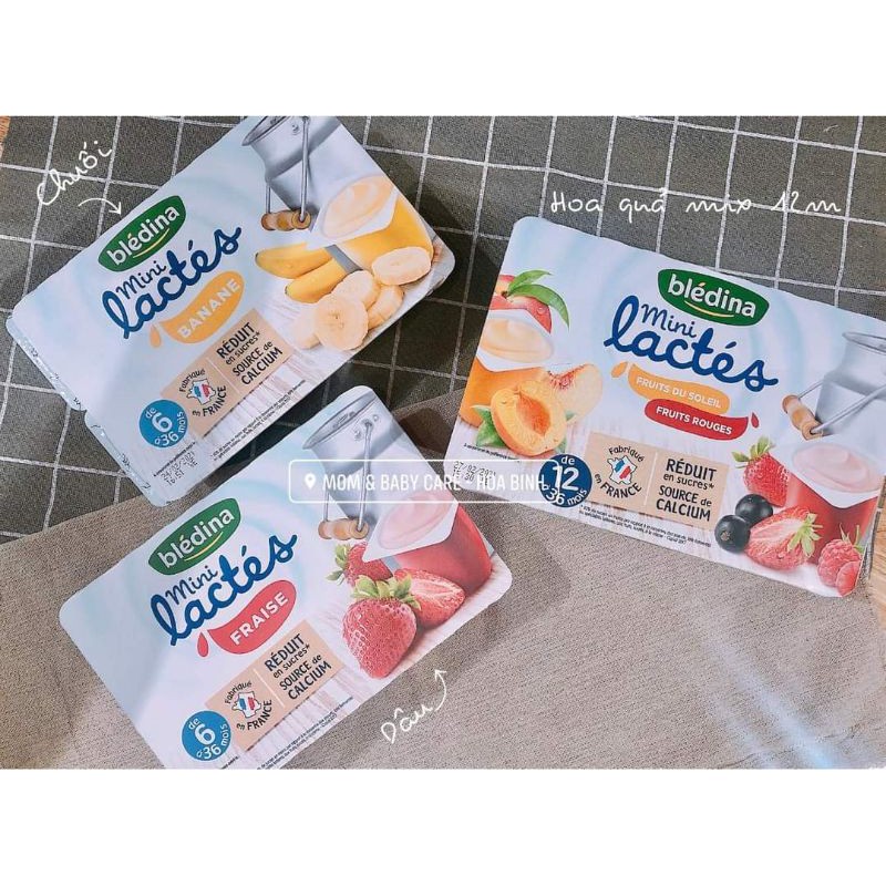 Sữa chua BLEDINA - Váng sữa NESTLE cho trẻ từ 6 tháng