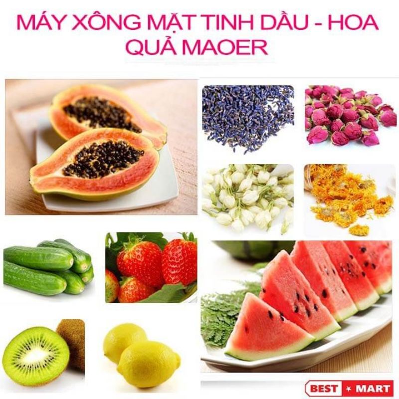 [HCM] Máy xông mặt mini Maoer - Xông hơi thảo dược, hoa quả tươi chính hãng nội địa Trung