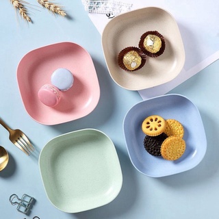 Set 8 đĩa nhựa Lúa Mạch TN355 - ThanhBL Store0