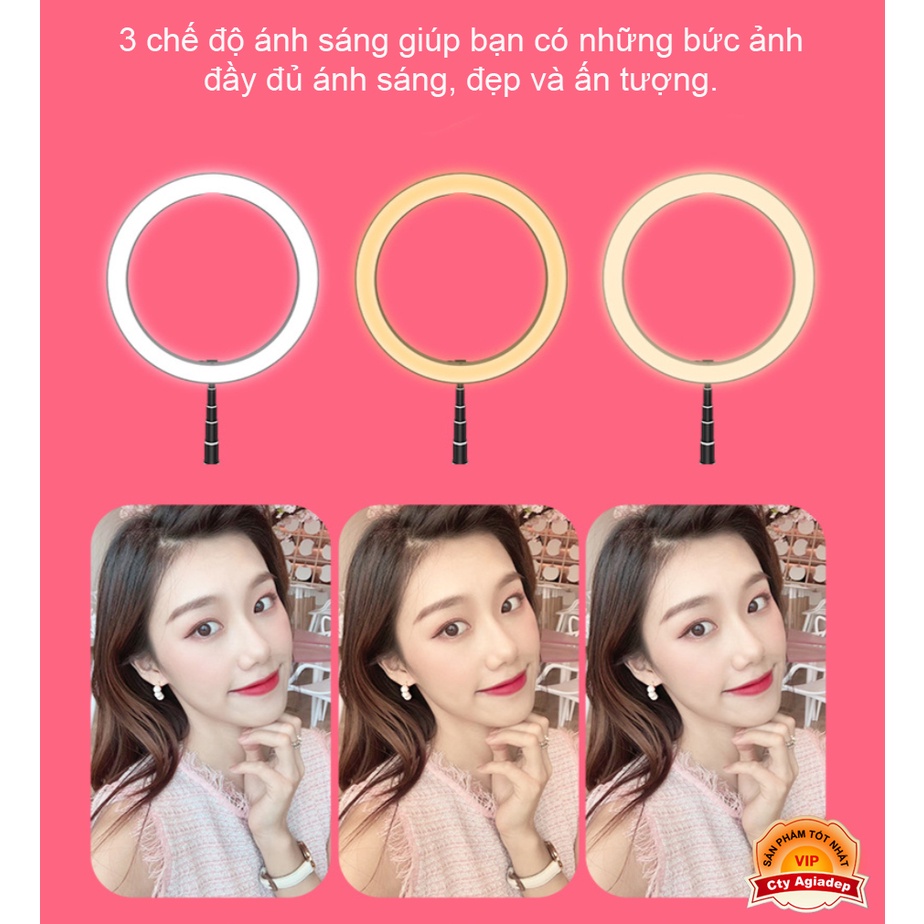 Gậy Tripod Đèn LED 3 Màu Kẹp 4 điện thoại Quay phim chụp ảnh Livestream - 190cm