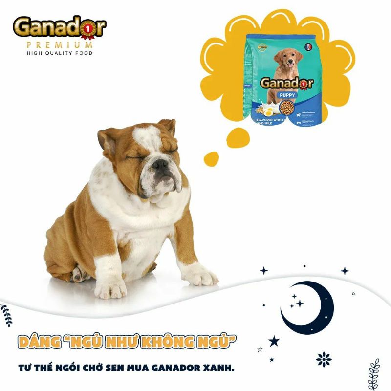 [GANADOR TRỨNG SỮA] [3KG] Thức ăn hạt cao cấp Ganador cho chó con - Vị trứng sữa