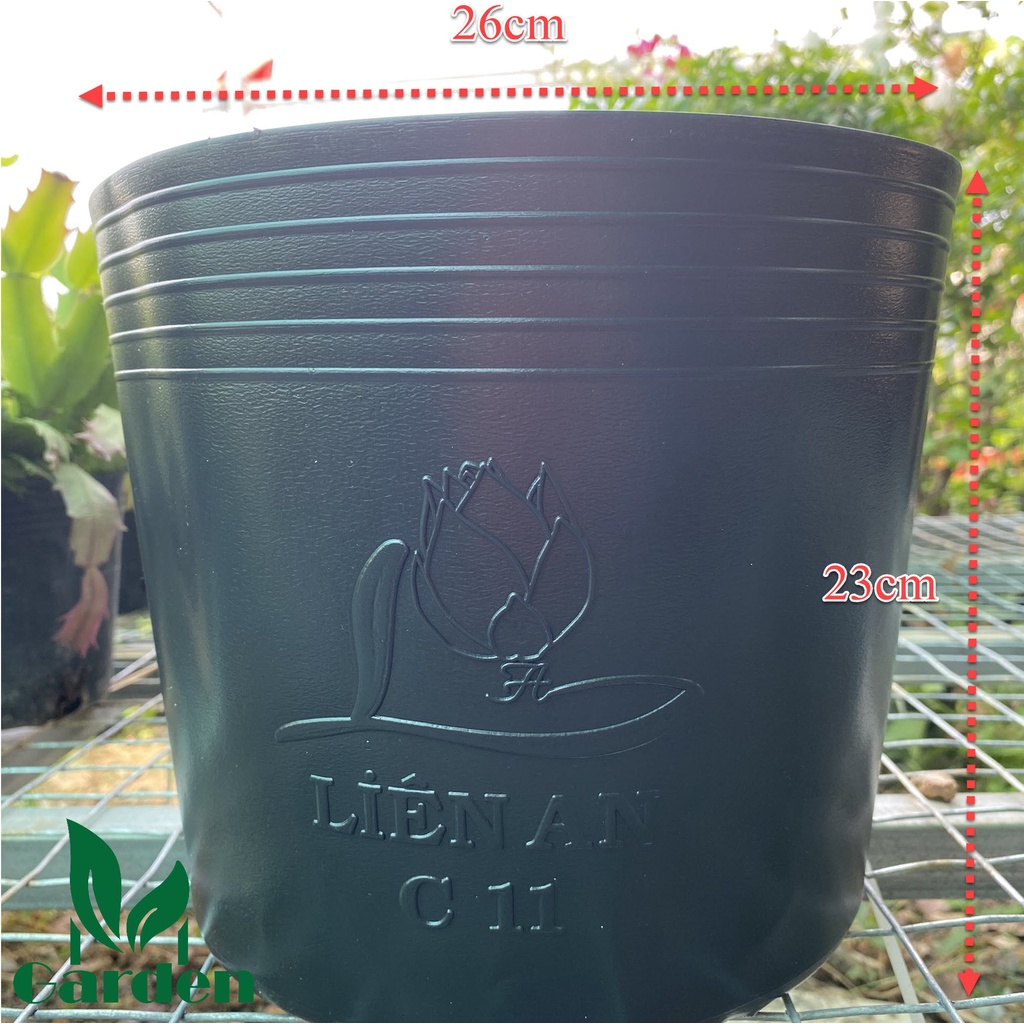 Chậu nhựa đen  dẻo trồng và ươm cây C11  - Liên An
