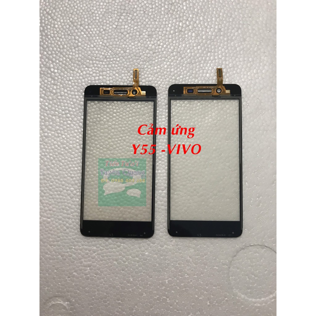 Cảm Ứng Y55