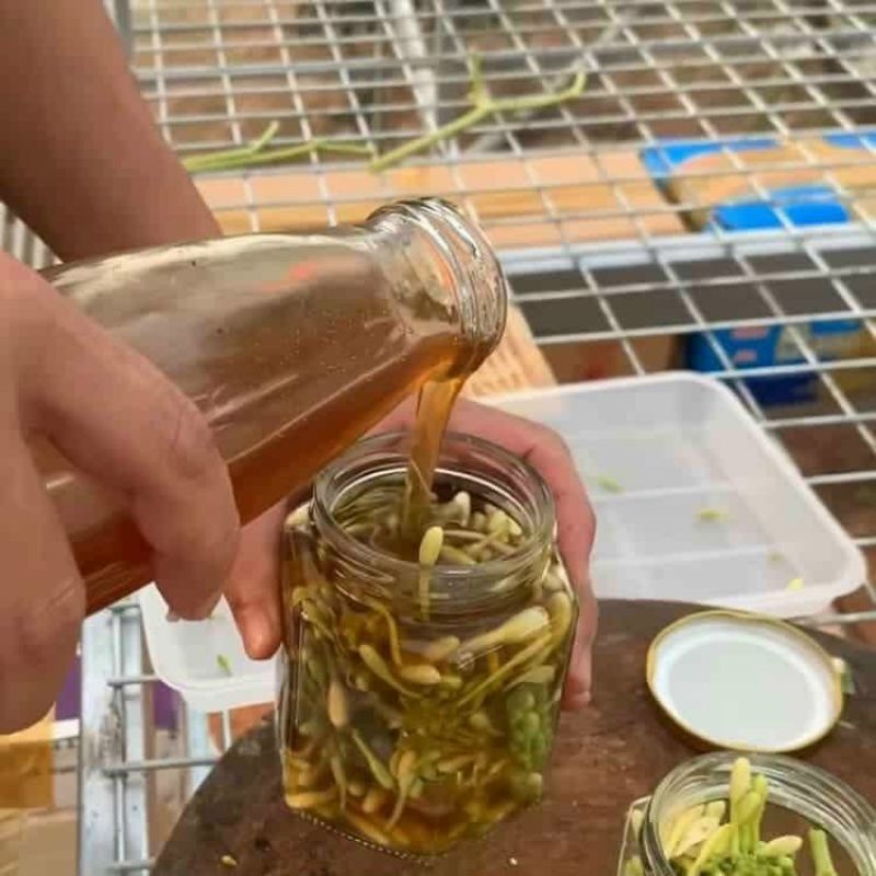 Hoa đu đủ đực khô nguyên chất sấy lạnh loại 1 gói 100gram