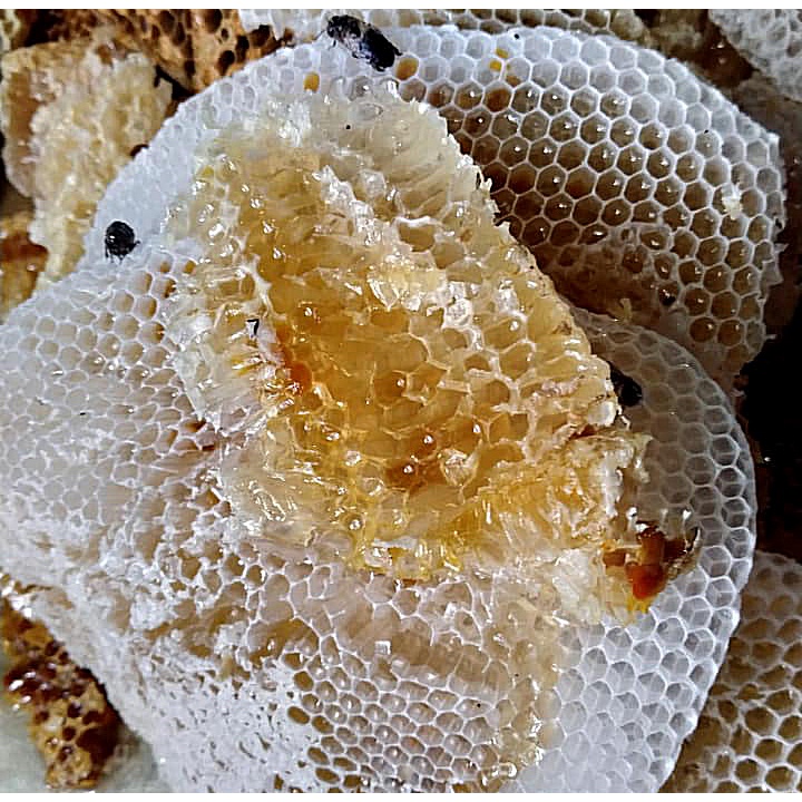 Mật ong Hoa Tam giác mạch (Đồng Văn-Hà Giang) cam kết không đóng đường