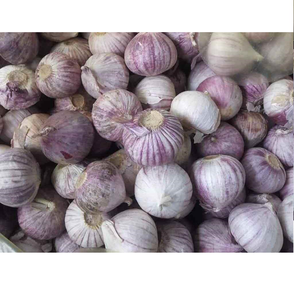 Tỏi một tép 3kg loại 1 Việt Nam, tỏi một nhánh đã chọn lọc