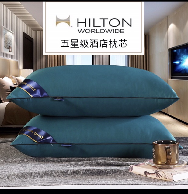Ruột gối pillow Hitton bông tắng cao cấp chuẩn 1,3kg ( 40cm*60cm)
