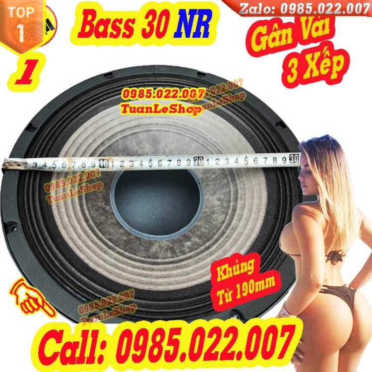 MỘT CỦ LOA KARAOKE BASS 30 NR AUDIO CHÍNH HÃNG - TỪ 190 CÔN 75 – LOA 3 TẤC