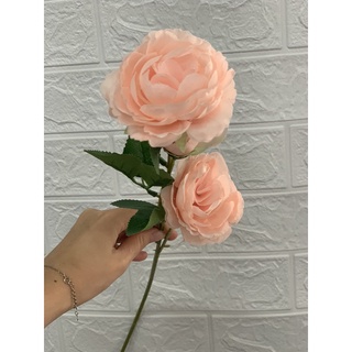 Hoa hồng trà lụa cao cấp Evelyn HL004