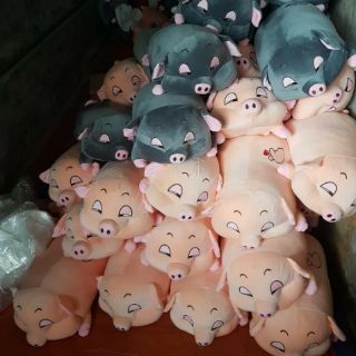LỢN BÔNG ĐÁNG YÊU