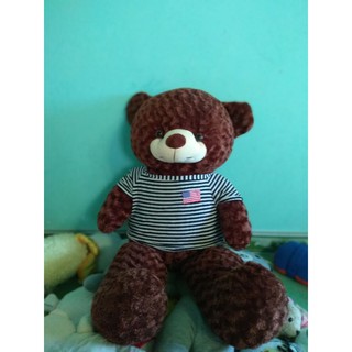 gấu teddy nâu