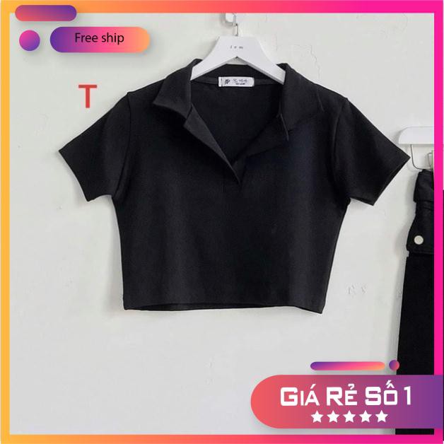 FREESHIP Áo POLO CROPTOP TRƠN TT12