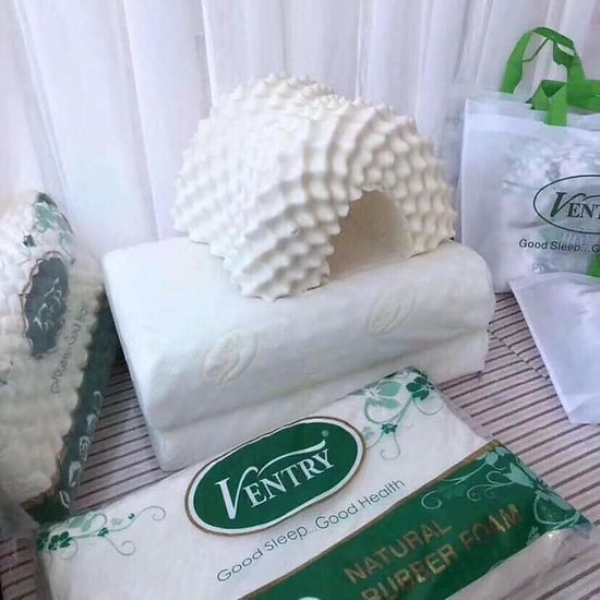 GỐI CAO SU NON CAO CẤP VENTRY