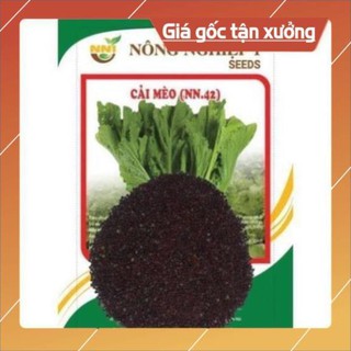 Hạt giống cải mèo- gói 20 gr