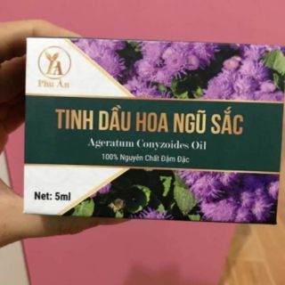 TINH DẦU HOA NGŨ SẮC (viêm xoang, viêm mũi dị ứng, sổ mũi)